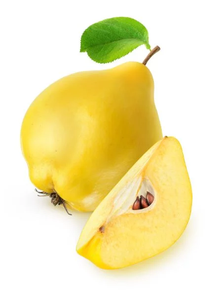 Kvitteni